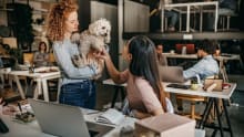 Amazon Australia welcomes employees’ dogs into the office