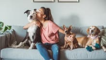 Swiggy introduces Paw-ternity’ Policy for pet parents