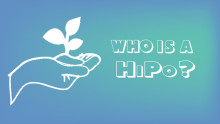 Who is a HiPo?