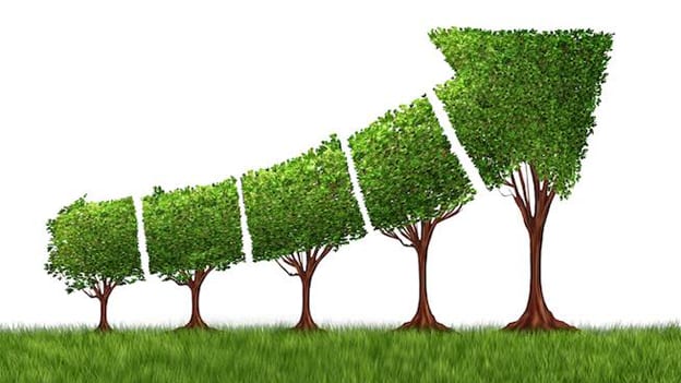 Quikr-led Hiree aims high growth with 'freemium' model