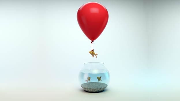 4 ways to bring out the STAR performance from your people