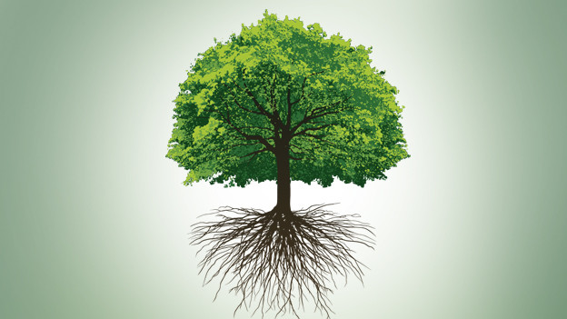 Best of 2011: The Sales Factor - Opportunities & Trends