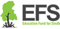 EFS logo