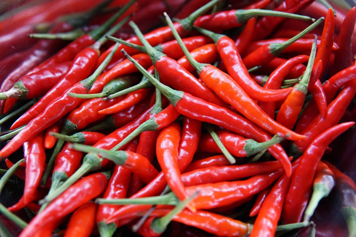 A selection of red cayenne peppers