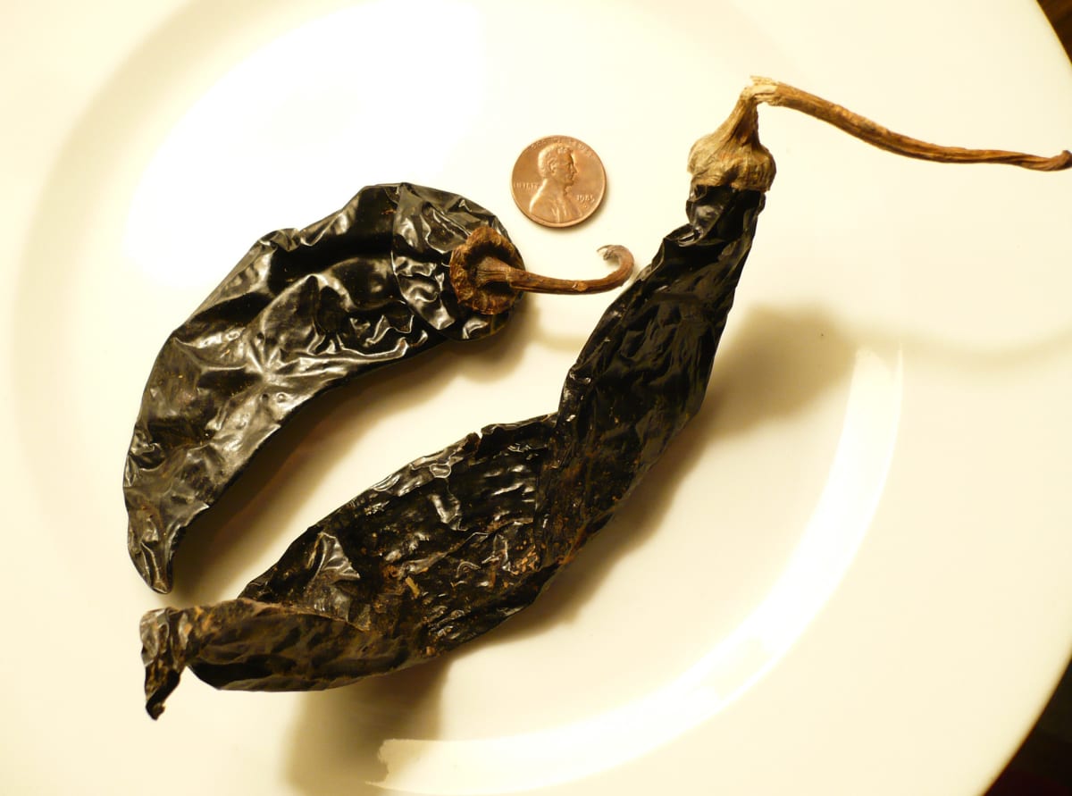 Several dried Pasilla chili peppers, with a United States penny for comparison. Photo taken in Kent, Ohio with a Panasonic Lumix digital camera (model DMC-LS75). Pasilla chilis purchased in a northeast Ohio-area Mexican grocery store.