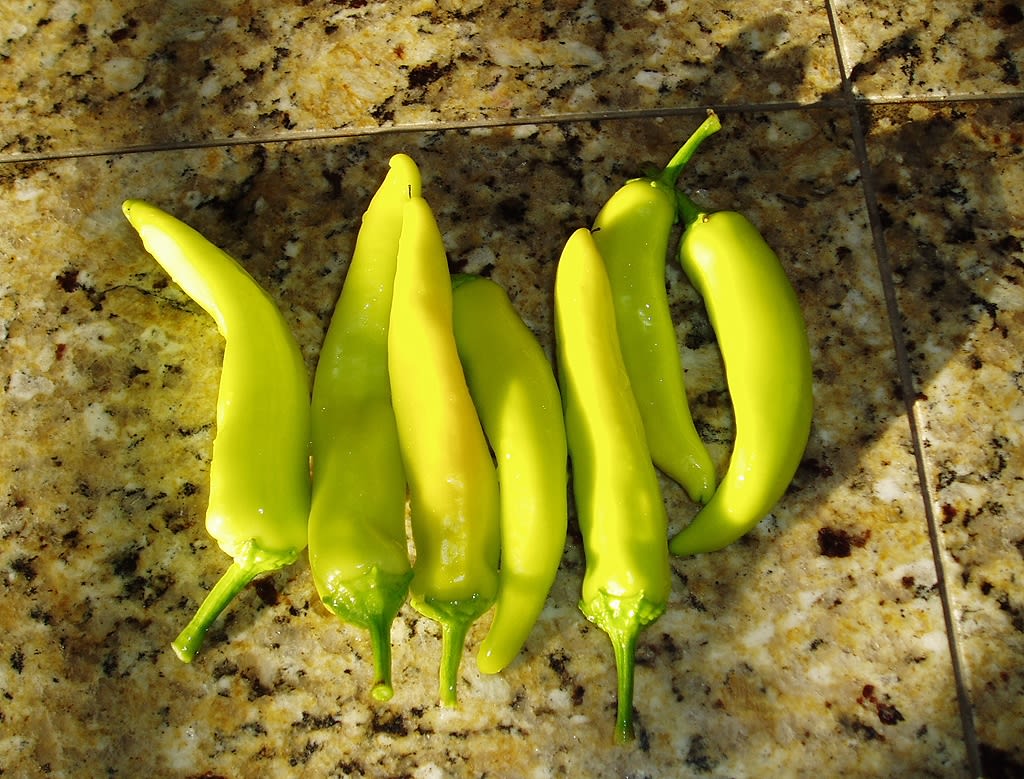 Image of a chilli pepper