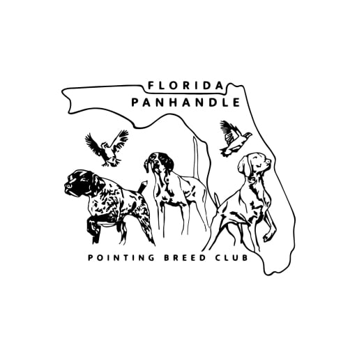 Club logo Club logo