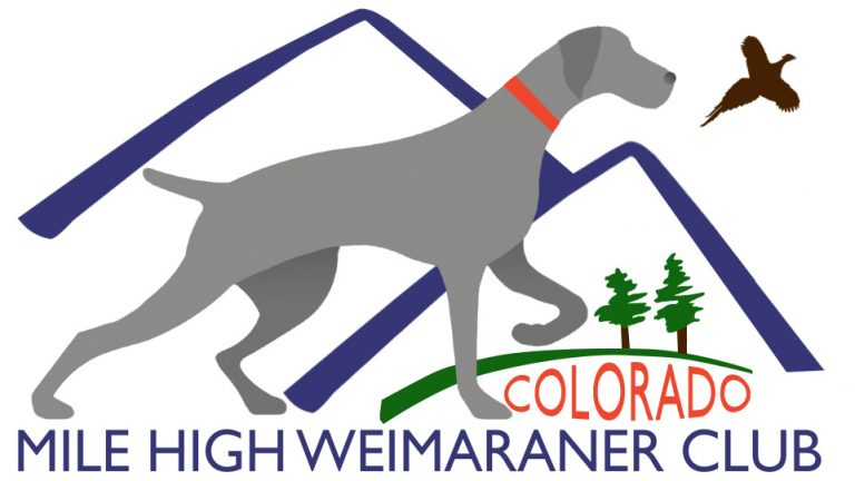 easy dog entries online