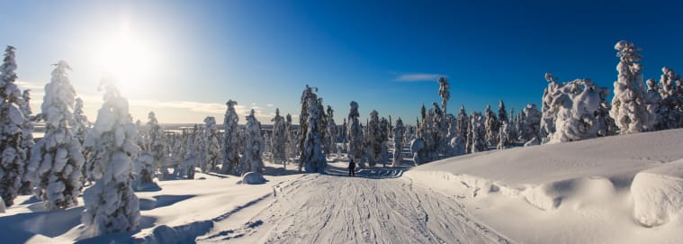 LAPONIE | Kittilä - Essentiel de la Laponie 4* à partir de 2109 € / personne