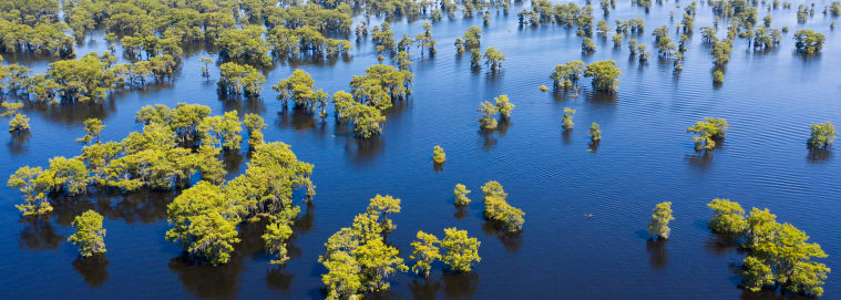 LOUISIANE | Nouvelle Orleans - Les Incontournables de la Louisiane 2* à partir de 2209 € / personne