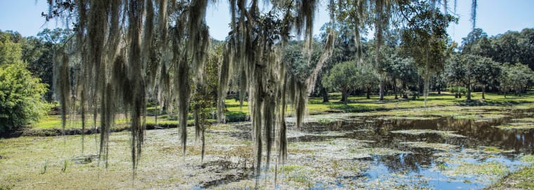 LOUISIANE | Nouvelle Orleans - Les Incontournables de la Louisiane 2* à partir de 2209 € / personne