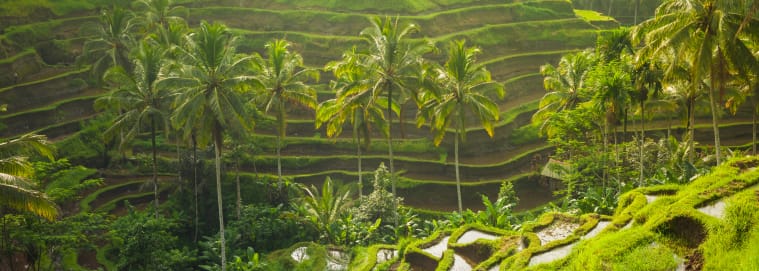 INDONÉSIE | Bali - Escapade Balinaise & Excursion à Nusa Lembongan 3* dès 1829 € / personne