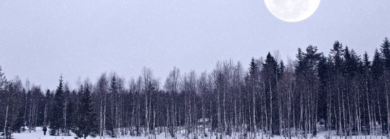 LAPONIE | Rovaniemi - Légendes Boréales à Rovaniemi à partir de 1849 € / personne