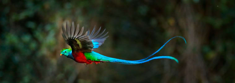 COSTA RICA | De San José à Manuel Antonio - Autotour à la découverte du Costa Rica à partir de 2529 € / personne