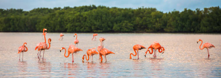 MEXIQUE | Yucatan - Autotour Yucatan au complet 3* à partir de 1629 € / personne