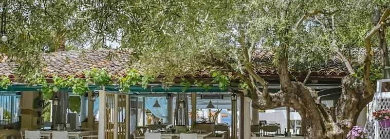 CHALCIDIQUE | Plage d'Elia - Acrotel Athena Pallas 5* à partir de 329 € / personne