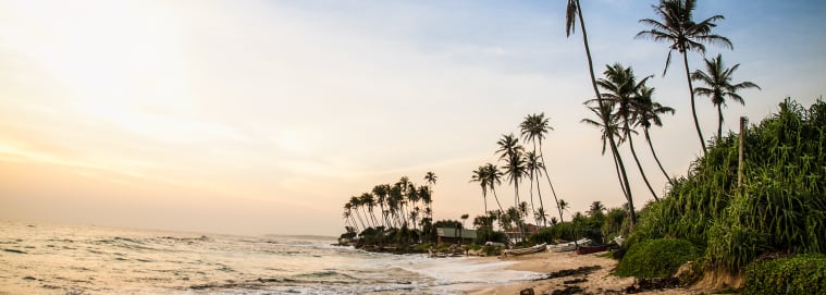 SRI LANKA | Colombo - Le meilleur du Sri Lanka avec extension balnéaire 3* dès 1829 € / personne