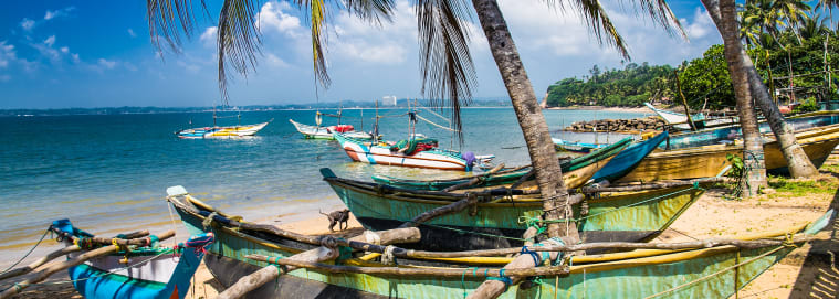 SRI LANKA | Colombo - Le meilleur du Sri Lanka avec extension balnéaire 3* dès 1829 € / personne
