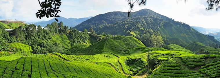 MALAISIE | Kuala Lumpur - À la découverte de la Malaisie 3* à partir de 2699 € / personne