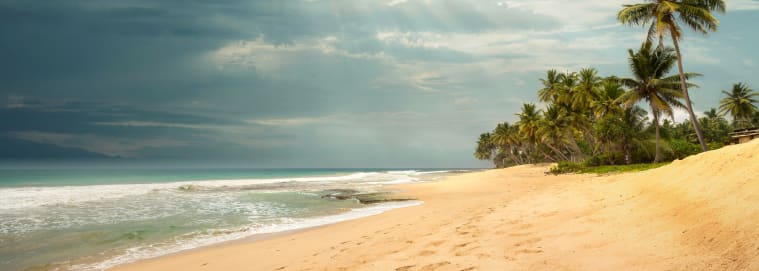 SRI LANKA | Colombo - Le meilleur du Sri Lanka avec extension balnéaire 3* dès 1829 € / personne