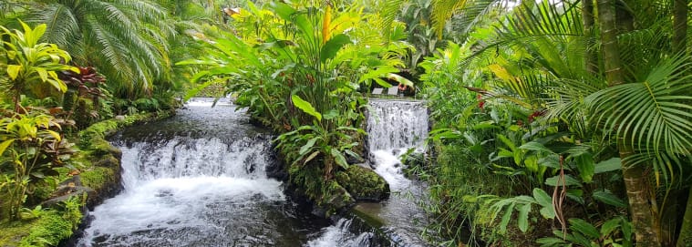 COSTA RICA | San José - Autotour entre forêt tropicale et plage ensoleillée 3* dès 1949 € / personne