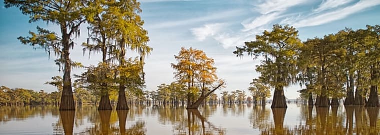 LOUISIANE | Nouvelle Orleans - A la découverte de la Louisiane au volant 3* dès 1629 € / personne
