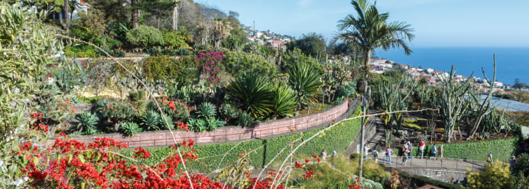 MADÈRE | Funchal - Découvrez Madère en Autotour à partir de 959 € / personne