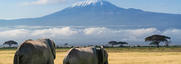 KENYA | Nairobi - Le meilleur du Kenya en safari 3* dès 2599 € / personne