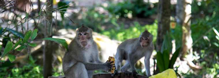 VIETNAM & CAMBODGE | De Hanoi à Phnom Penh - Évasion au Vietnam et Cambodge et extension à Koh Rong 4* dès 2699 € / personne