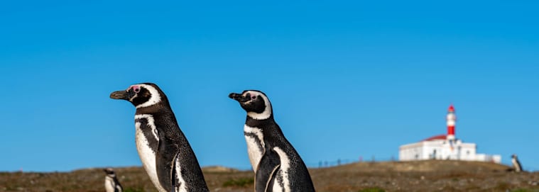 ARGENTINE | Buenos Aires - Combiné Buenos Aires & Ushuaia 5* à partir de 3209 € / personne