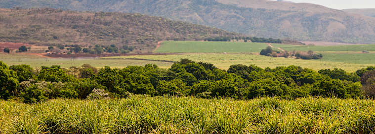 AFRIQUE DU SUD | De Cap Town à Johannesburg - Patchwork Sud Africain 4* à partir de 4909 € / personne