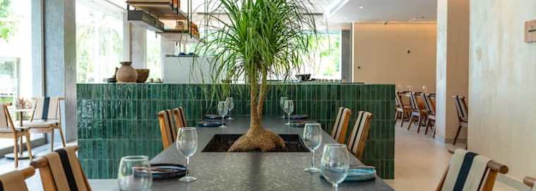 MEXIQUE | Tulum - Motto by Hilton Tulum 4* dès 989 € / personne