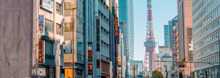JAPON | De Tokyo à Osaka - Japon aux 1001 contrastes 3* dès 3238 € / chambre