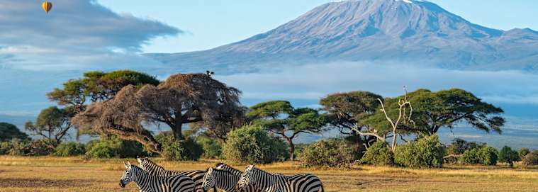 KENYA | De Nairobi à Mombasa - Sur la terre du peuple Masai, hors des sentiers battus 4* à partir de 2609 € / personne