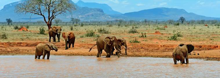 KENYA | De Nairobi à Mombasa - Sur la terre du peuple Masai, hors des sentiers battus 4* à partir de 2609 € / personne