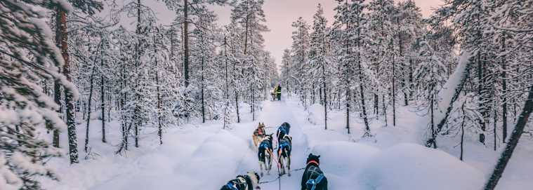 LAPONIE | Rovaniemi - Immersion Polaire à Rovaniemi 3* à partir de 3319 € / personne