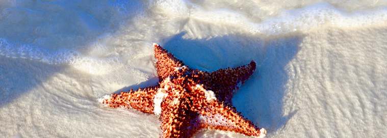 CUBA | La Havane - Trilogie Cubaine avec extension balnéaire au Paradisus Cayo Santa Maria 5* à partir de 1599 € / personne