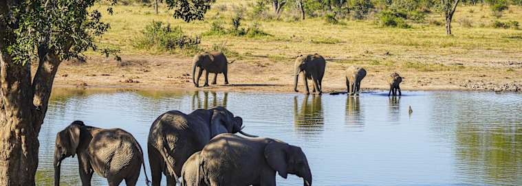 AFRIQUE DU SUD | De Cap Town à Johannesburg - Sur les routes de l’Afrique du Sud, pays de l’arc-en-ciel 3* à partir de 2509 € / personne