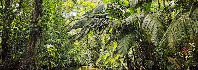 COSTA RICA | San José - Le Costa Rica en liberté à partir de 2129 € / personne