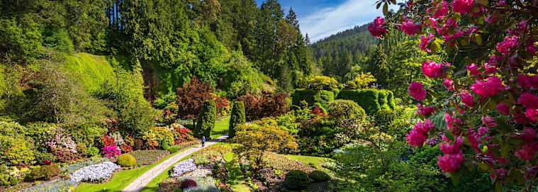 CANADA | De Vancouver à Calgary - Magie de l'Ouest Canadien 2* à partir de 3369 € / personne