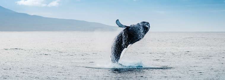 ISLANDE | Reykjavik - Aventure Islandaise 2026 3* à partir de 2109 € / personne