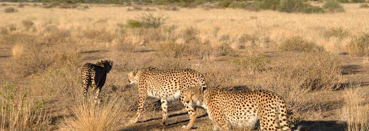 NAMIBIE | Windhoek - Parcours Namibien 3* à partir de 3989 € / personne