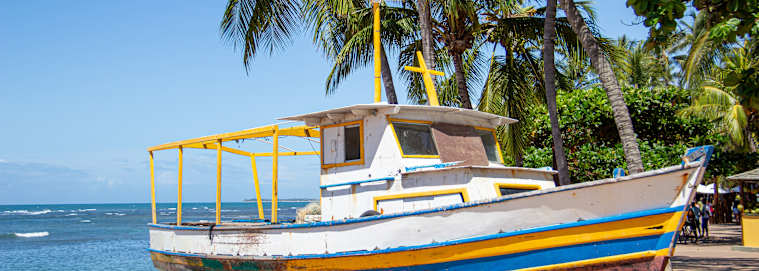 BRÉSIL | De Rio à Salvador de Bahia - Les Classiques du Brésil à petit prix 3* à partir de 3049 € / personne