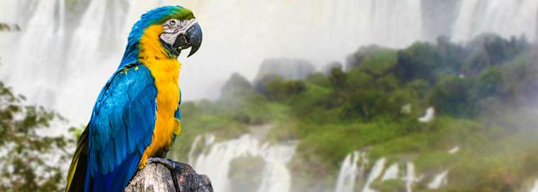 BRÉSIL | De Rio à Salvador de Bahia - Les Classiques du Brésil à petit prix 3* à partir de 3049 € / personne