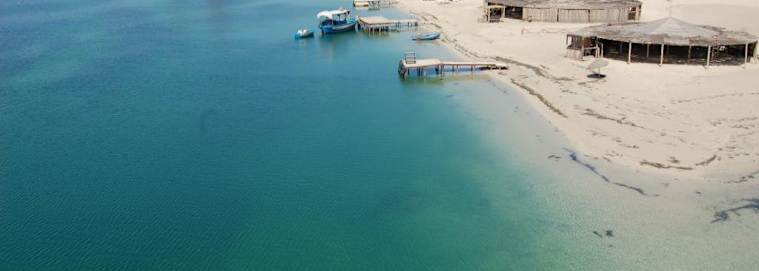 TUNISIE | Djerba - El Mouradi Djerba Menzel avec excursion d'une journée complète vers l'île aux flamants roses 4* à partir de 319 € / personne