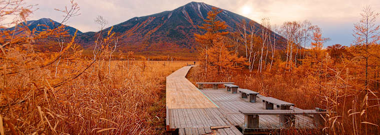 JAPON | D'Osaka à Tokyo - L'Odyssée japonaise : grand voyage d'exploration 3* à partir de 3389 € / personne