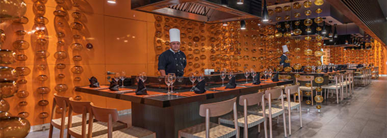 MEXIQUE | Playa del Carmen - Platinum Yucatan Princess Adult Only 5* dès 1119 € / personne