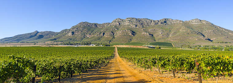 AFRIQUE DU SUD | De Cape Town à Johannesburg - Autotour en Afrique du Sud, du Cap aux Big Five 4* dès 3319 € / personne