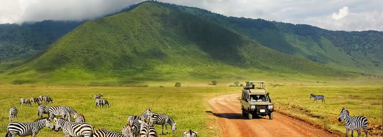 AFRIQUE DU SUD | De Cape Town à Johannesburg - Autotour en Afrique du Sud, du Cap aux Big Five 4* dès 3319 € / personne