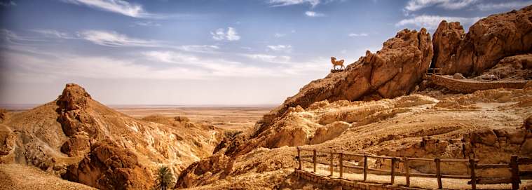 TUNISIE | Hammamet - Balade Tunisienne, visite en petit groupe avec guide francophone 4* à partir de 859 € / personne
